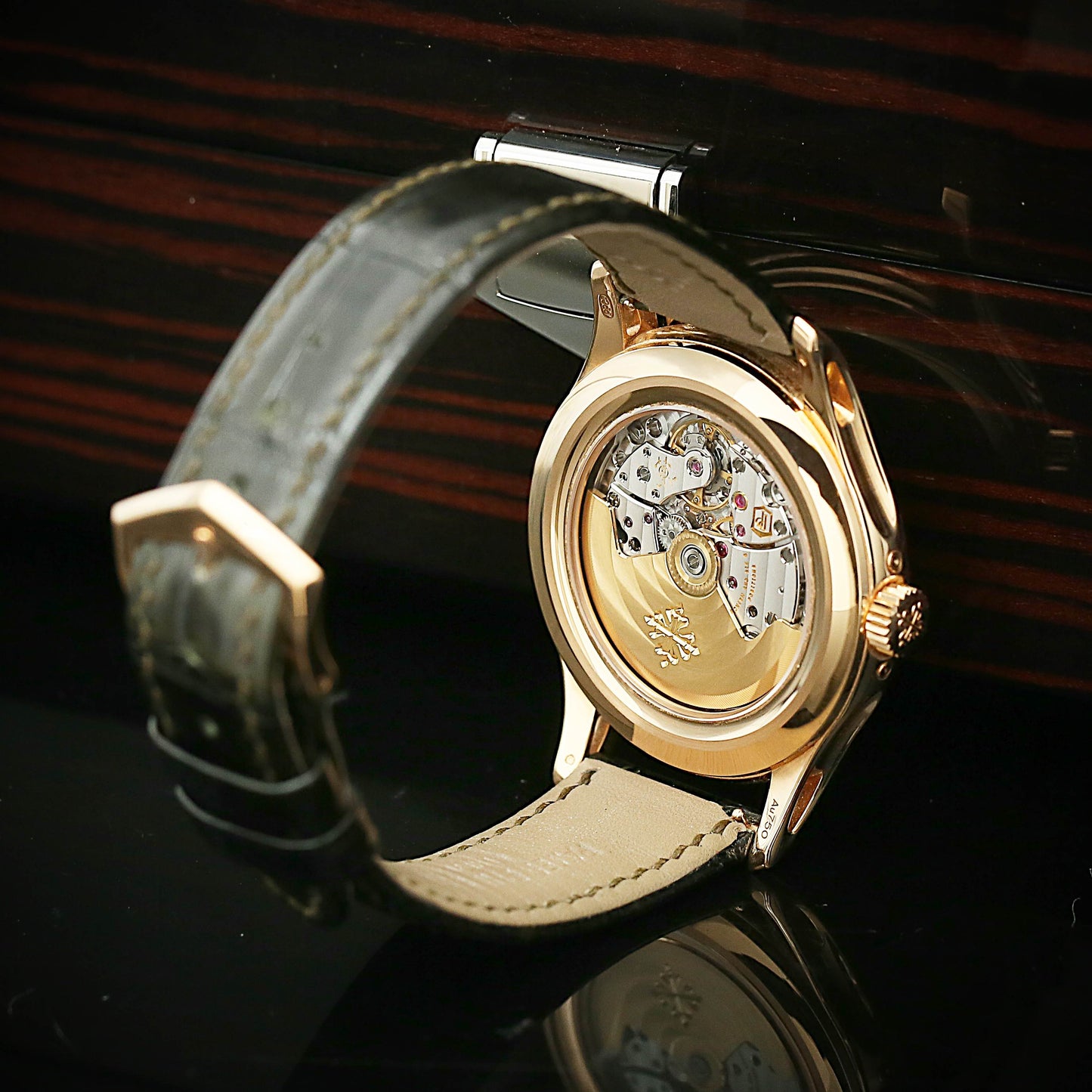 Patek Philippe Complications 5205R-011