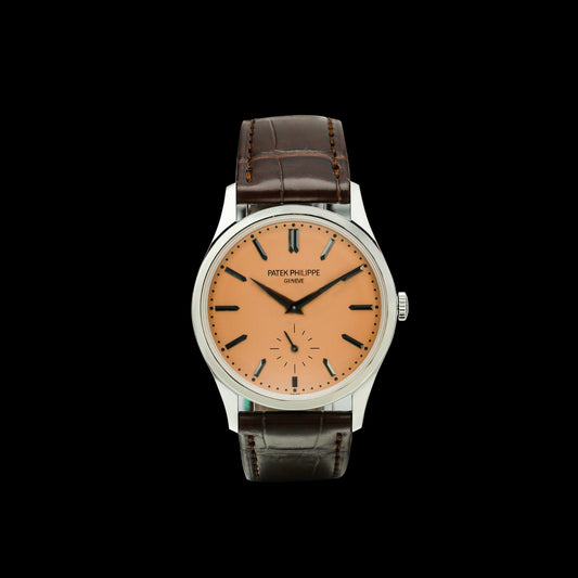 Patek Philippe Classic Watch Series 6196P-001
