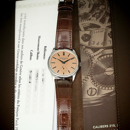 Patek Philippe Classic Watch Series 6196P-001