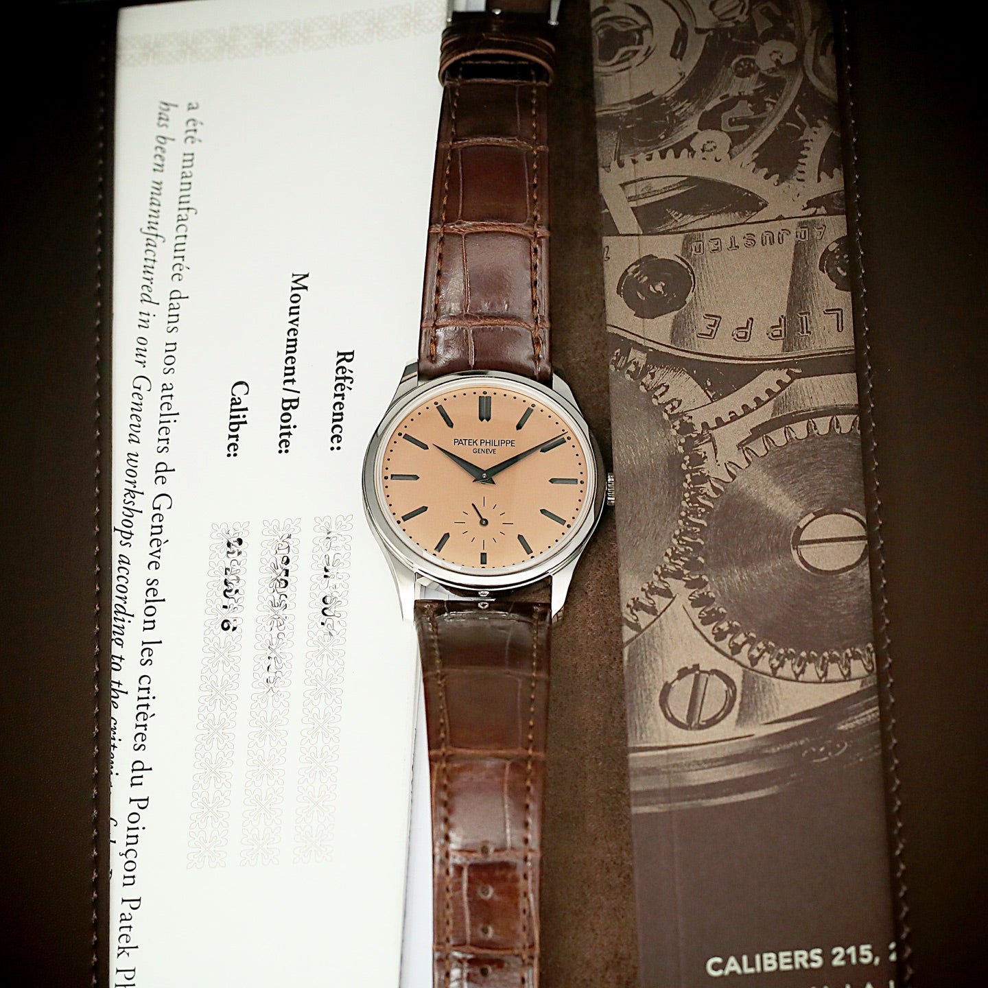 Patek Philippe  Classic Collection 6196P-001