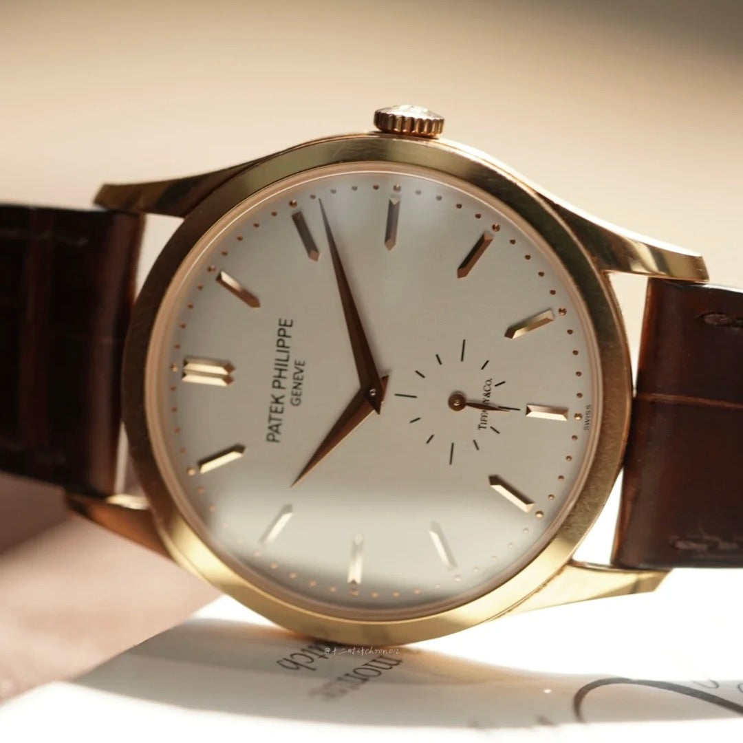 Patek Philippe Classic Watches 5196J