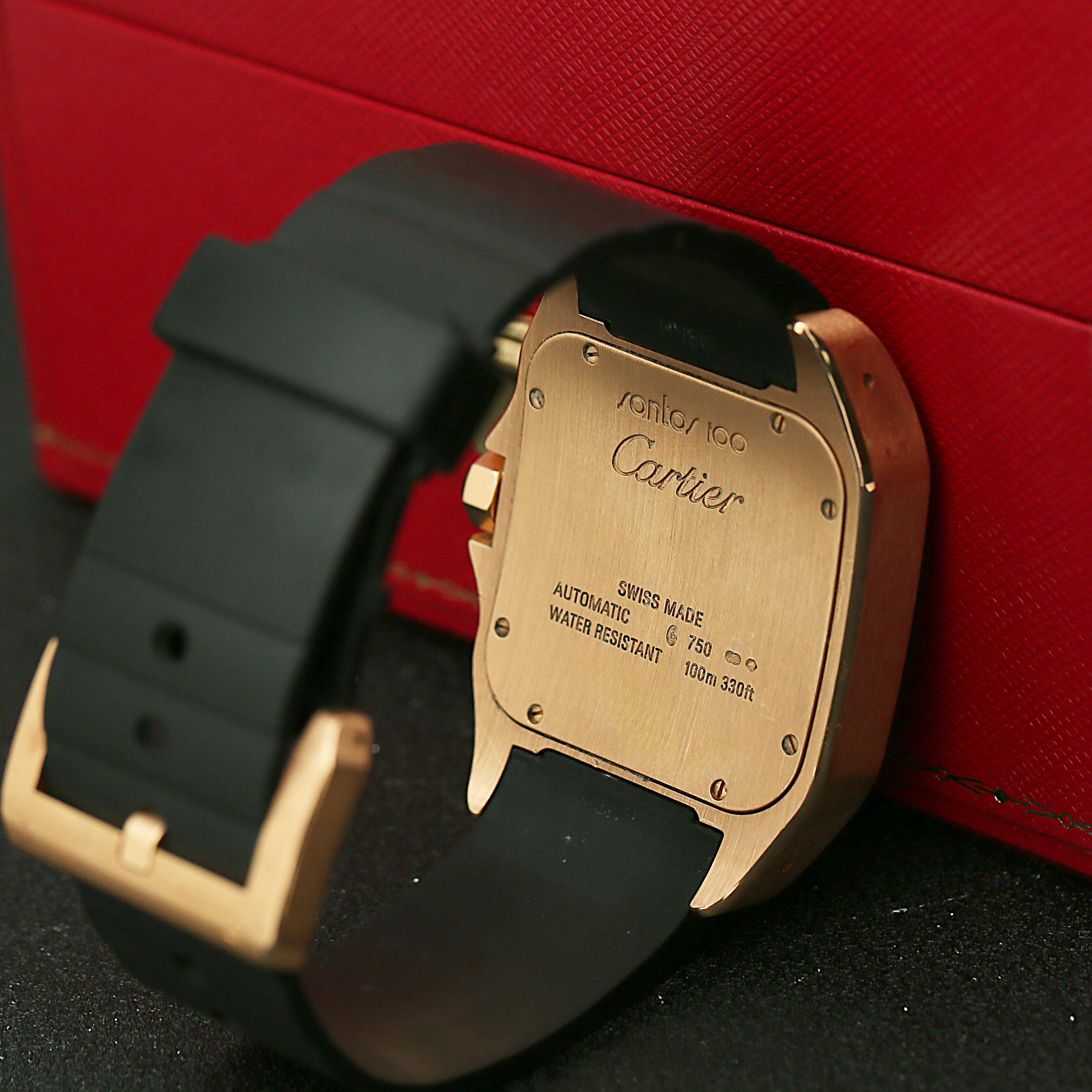 Cartier Santos.W20124U2